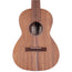 Martin T1K Koa Ukulele with Gig Bag