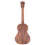 Martin T1K Koa Ukulele with Gig Bag