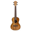 Martin TKE Tenor Acoustic-Electric Ukulele, All-Koa Body w/Soft Case