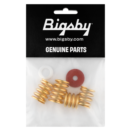 Bigsby Spring and Washer Pack, Gold