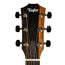 Taylor 214ce-K Plus Grand Auditorium Acoustic Electric Guitar, Torrefied Spruce/Hawaiian Koa