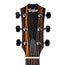 Taylor 214ce Special Edition Honeyburst Acoustic-Electric Guitar, Sitka Spruce/Indian Rosewood