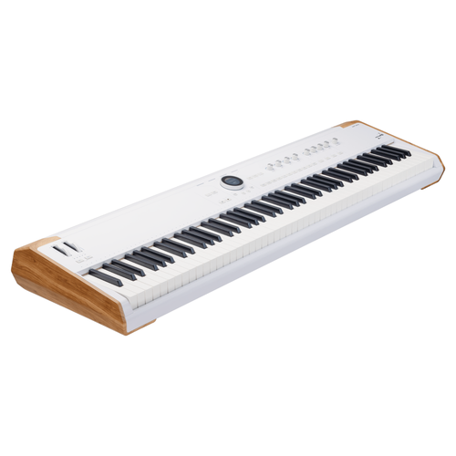 Arturia AstroLab 88 Stage Keyboard Synthesizer