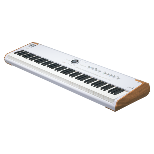 Arturia AstroLab 88 Stage Keyboard Synthesizer