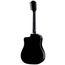 Taylor Somos 250ce Plus BLK Doce Doble Acoustic-Electric Guitar, Torrefied Spruce/Big Leaf Maple