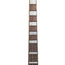 Gretsch G2655TG Streamliner Center Block Jr. Double-Cut w/ Bigsby LTD Electric Guitar, Riviera Blue