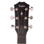 Taylor 312ce Acoustic-Electric Guitar, V-Class Bracing, Natural