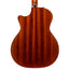 Taylor 314ce Studio Grand Auditorium Acoustic-Electric Guitar, Torrefied Spruce/Sapele, Natural