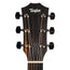 Taylor 414ce Studio Special Edition Honeyburst Acoustic-Electric Guitar, Sitka Spruce/Rosewood