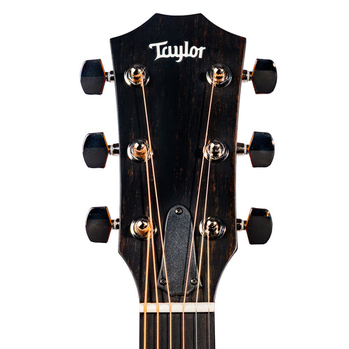 Taylor 414ce Studio Grand Auditorium Acoustic-Electric Guitar, Sitka Spruce/Indian Rosewood, Natural