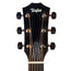 Taylor 414ce Studio Grand Auditorium Acoustic-Electric Guitar, Sitka Spruce/Indian Rosewood, Natural