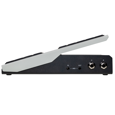 Walrus Audio Canvas Expression Pedal