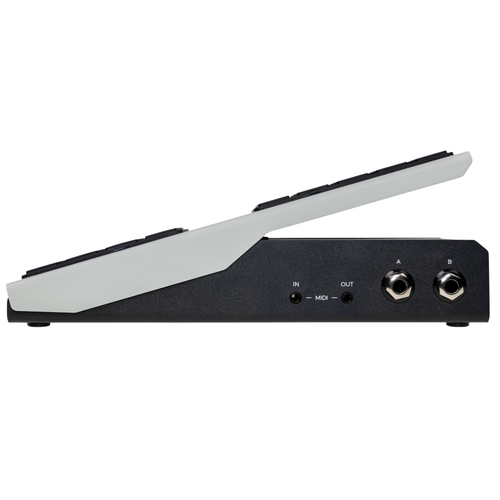 Walrus Audio Canvas Expression Pedal