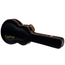 Epiphone EJ-200SCE Coupe Hard Case