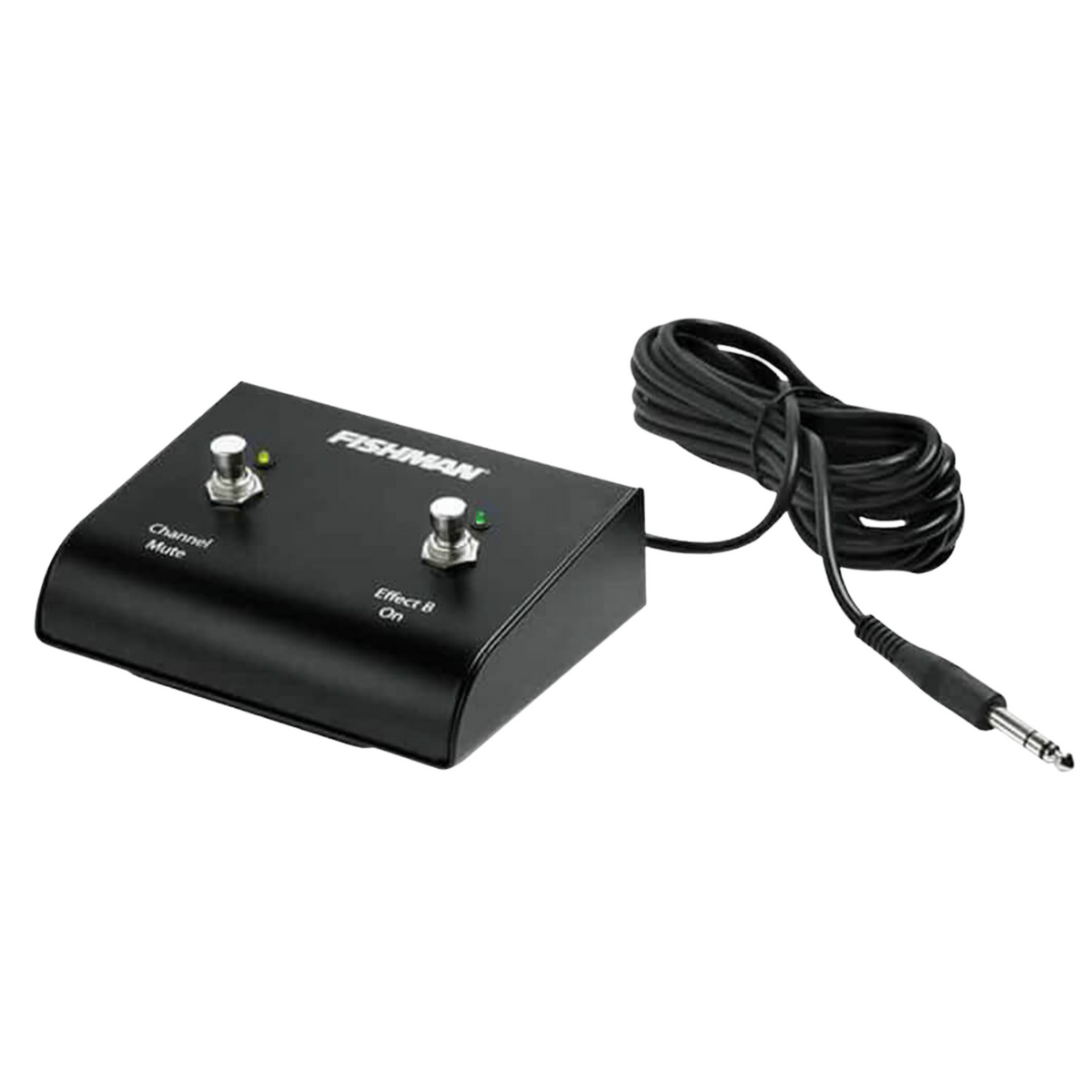 Fishman Loudbox Amplifier Dual Footswitch for Artist/Performer Amplifiers