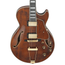 Ibanez Artcore Expressionist Hollowbody Electric Guitar, Dark Amber