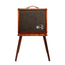 Taylor Circa 74 Acoustic Guitar/Vocal 1 x 10 Full-Range Combo Amplifier, Hawaiian Koa