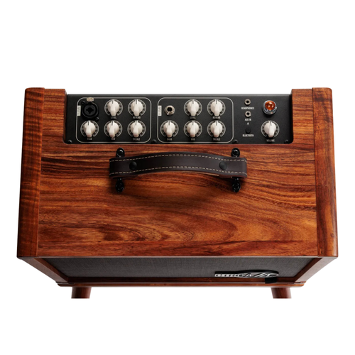 Taylor Circa 74 Acoustic Guitar/Vocal 1 x 10 Full-Range Combo Amplifier, Hawaiian Koa
