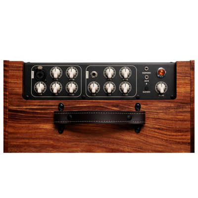 Taylor Circa 74 Acoustic Guitar/Vocal 1 x 10 Full-Range Combo Amplifier, Hawaiian Koa