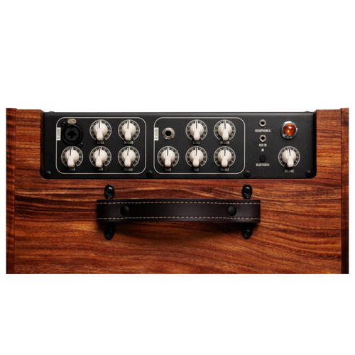 Taylor Circa 74 Acoustic Guitar/Vocal 1 x 10 Full-Range Combo Amplifier, Hawaiian Koa