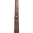 Gibson Thunderbird Bass Guitar, Rosewood Fingerboard, Ebony