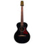 Iris Guitar Company BB Acoustic Guitar, Black Top w/ Firestripe Pickguard