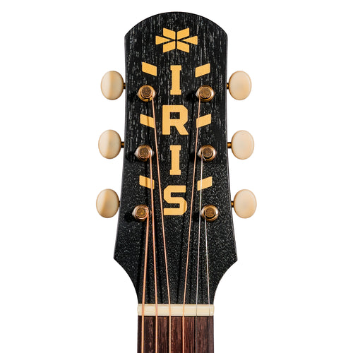 Iris Guitar Company BB Acoustic Guitar, Black Top w/ Firestripe Pickguard