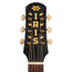 Iris Guitar Company BB Acoustic Guitar, Black Top w/ Firestripe Pickguard