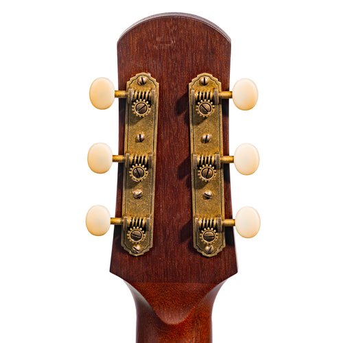 Iris Guitar Company BB Acoustic Guitar, Black Top w/ Firestripe Pickguard