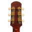 Iris Guitar Company BB Acoustic Guitar, Black Top w/ Firestripe Pickguard