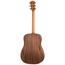 Taylor Big Baby Taylor Left-Handed Acoustic Guitar, Spruce Top, Natural