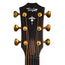 Taylor Builder’s Edition 614Ce Wild Honey Burst, V-Class Bracing