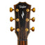 Taylor Builder's Edition 814ce Grand Auditorium Acoustic Guitar, Adirondack Spruce/Indian Rosewood