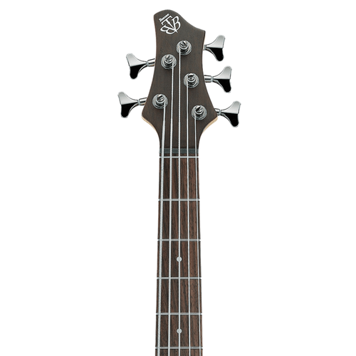 Ibanez BTB605TGF Standard 5-String Electric Bass, Transparent Gray Flat
