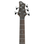 Ibanez BTB605TGF Standard 5-String Electric Bass, Transparent Gray Flat