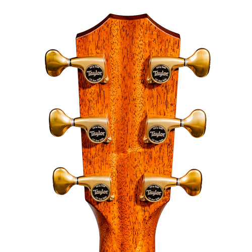 Taylor C10e B6013 Catch Custom #13 Dreadnought Acoustic-Electric Guitar, Adirondack Spruce/Honduran Rosewood