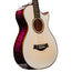 Taylor C12ce B6006 Catch Custom #6 Grand Concert Acoustic-Electric Guitar, Lutz Spruce/Big Leaf Maple