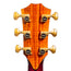Taylor C12ce B6006 Catch Custom #6 Grand Concert Acoustic-Electric Guitar, Lutz Spruce/Big Leaf Maple