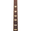 Gibson Firebird Platypus Electric Guitar, Tobacco Sunburst