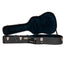 Iris Guitar Company D-WH Acoustic Guitar, Black Top w/ Double Pickguard