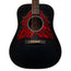Iris Guitar Company D-WH Acoustic Guitar, Black Top w/ Double Pickguard
