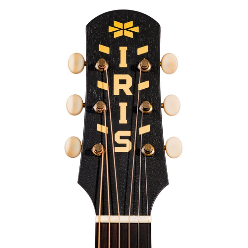 Iris Guitar Company D-WH Acoustic Guitar, Black Top w/ Double Pickguard