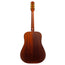 Iris Guitar Company D-WH Acoustic Guitar, Black Top w/ Double Pickguard
