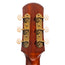 Iris Guitar Company D-WH Acoustic Guitar, Black Top w/ Double Pickguard
