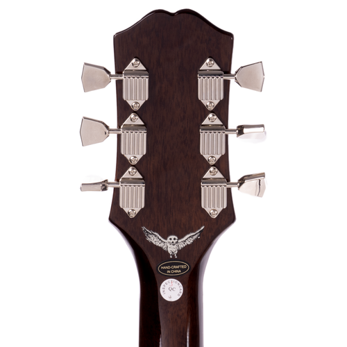 Epiphone Jim James ES-335 ブラウン ハードケース付き Epiphone Jim James ES-335 review