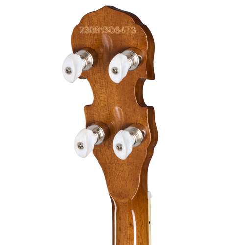 Epiphone Mastertone Classic Banjo w/Hard Case, Natural