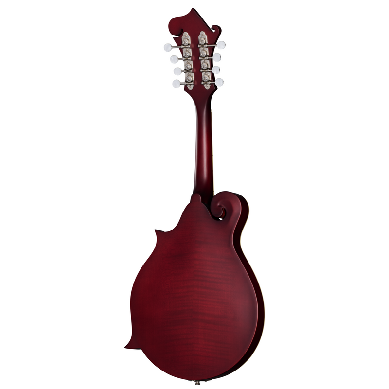 Epiphone F-5 Studio Mandolin w/Premium Gigbag, Wine Red Satin