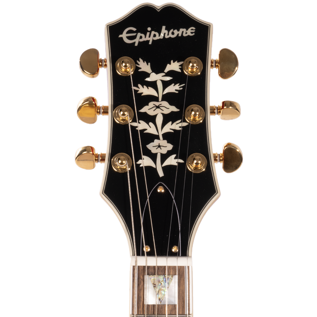 Epiphone sheraton sales guitar case
