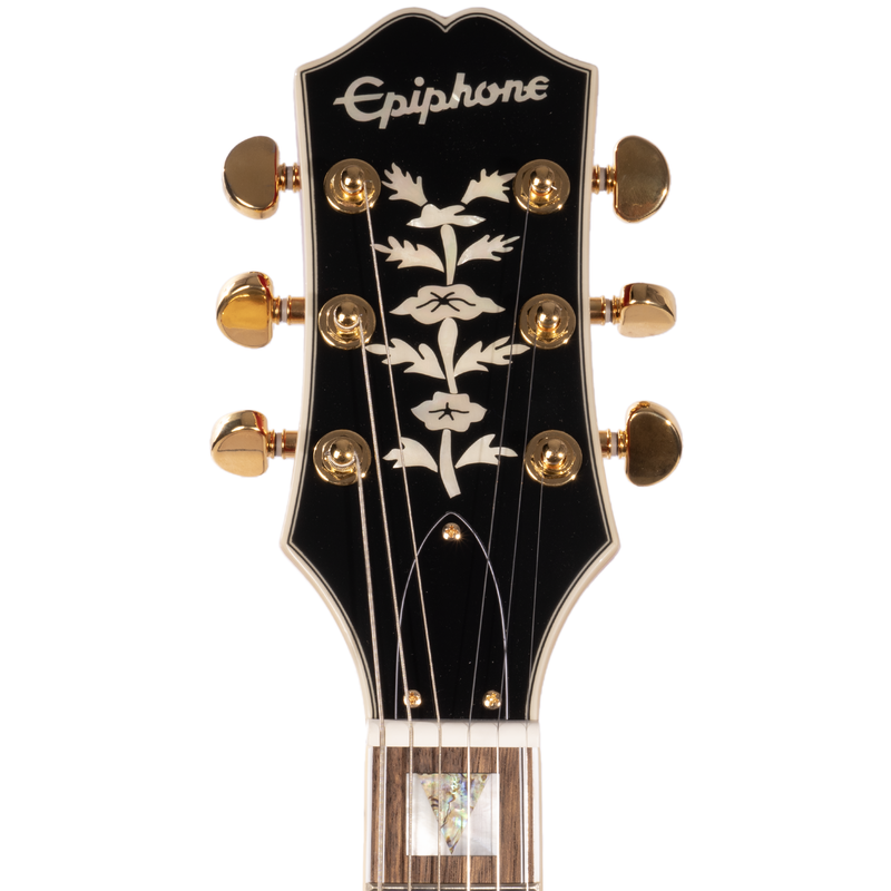 Epiphone sheraton ii shop pro hard case