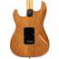 Fender American Professional II Stratocaster Rosewood, Roasted Pine